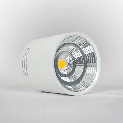 Spotra Surface Mounted Downlight