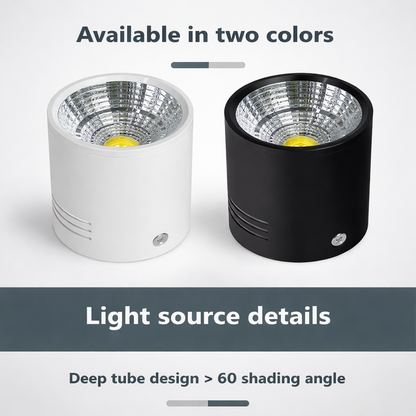 Spotra Surface Mounted Downlight