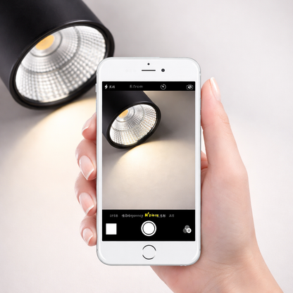 Spotra Surface Mounted Downlight